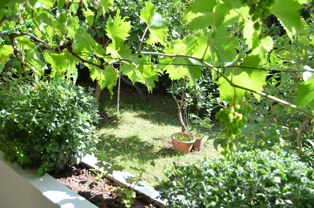 Amarillo Apartments Budva Dış mekan fotoğraf