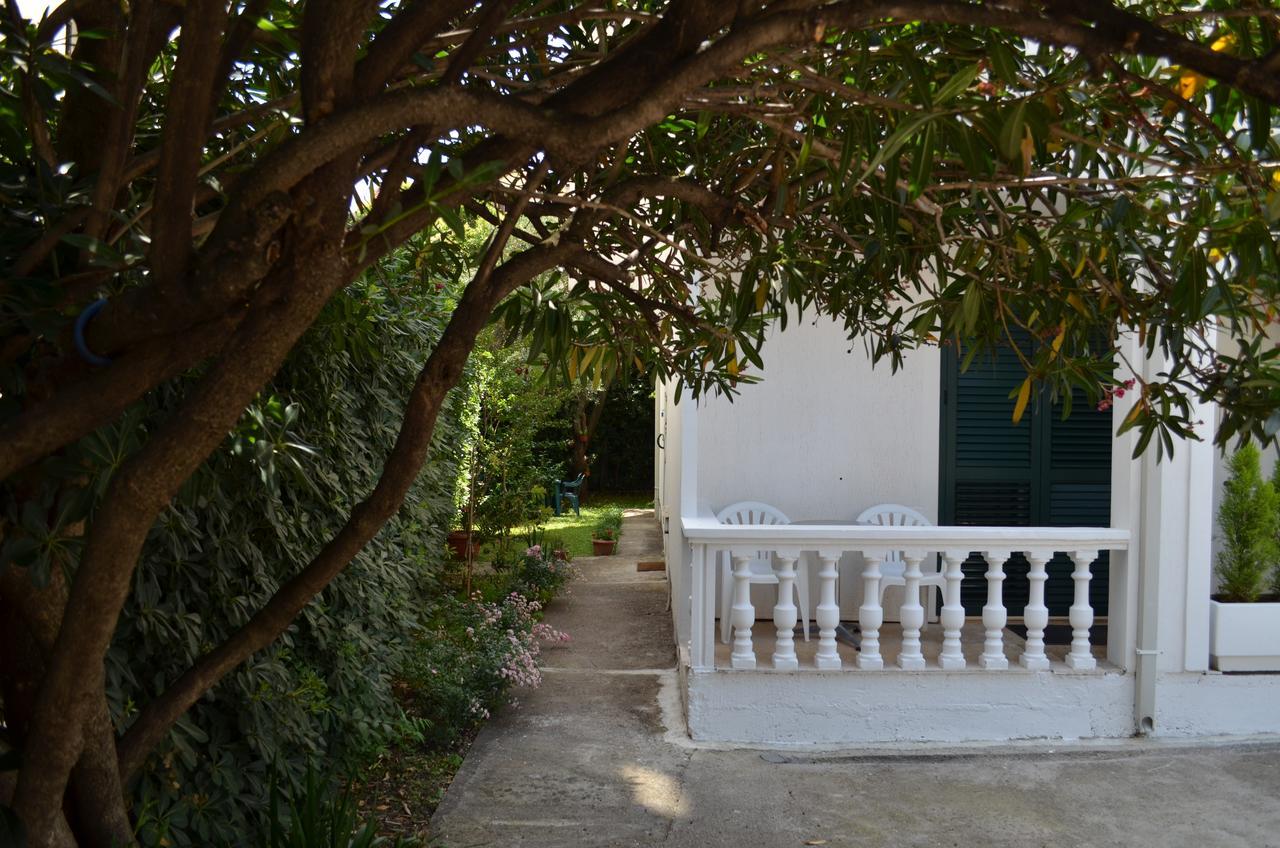 Amarillo Apartments Budva Dış mekan fotoğraf
